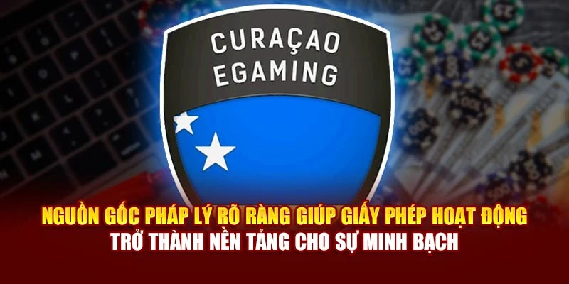 Nguồn gốc pháp lý rõ ràng giúp giấy phép hoạt động trở thành nền tảng cho sự minh bạch